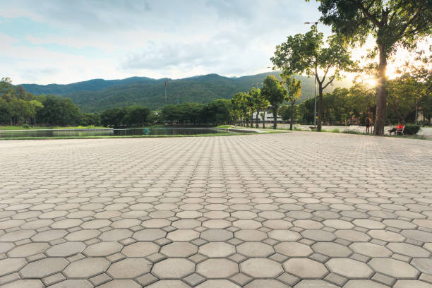 Best Residential Paver Driveway  in Statham, GA